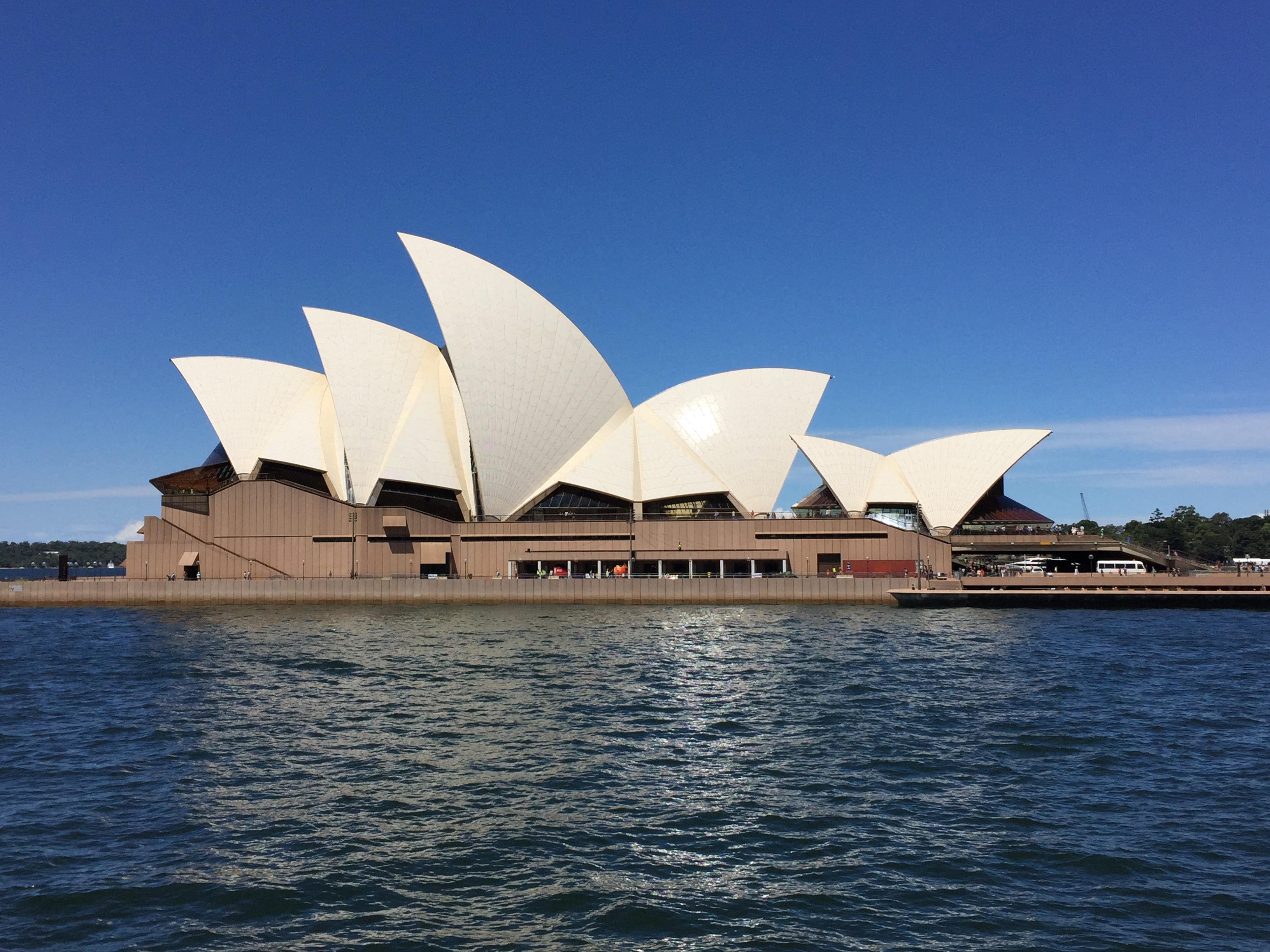 Discover distant destinations by housesitting and saving money